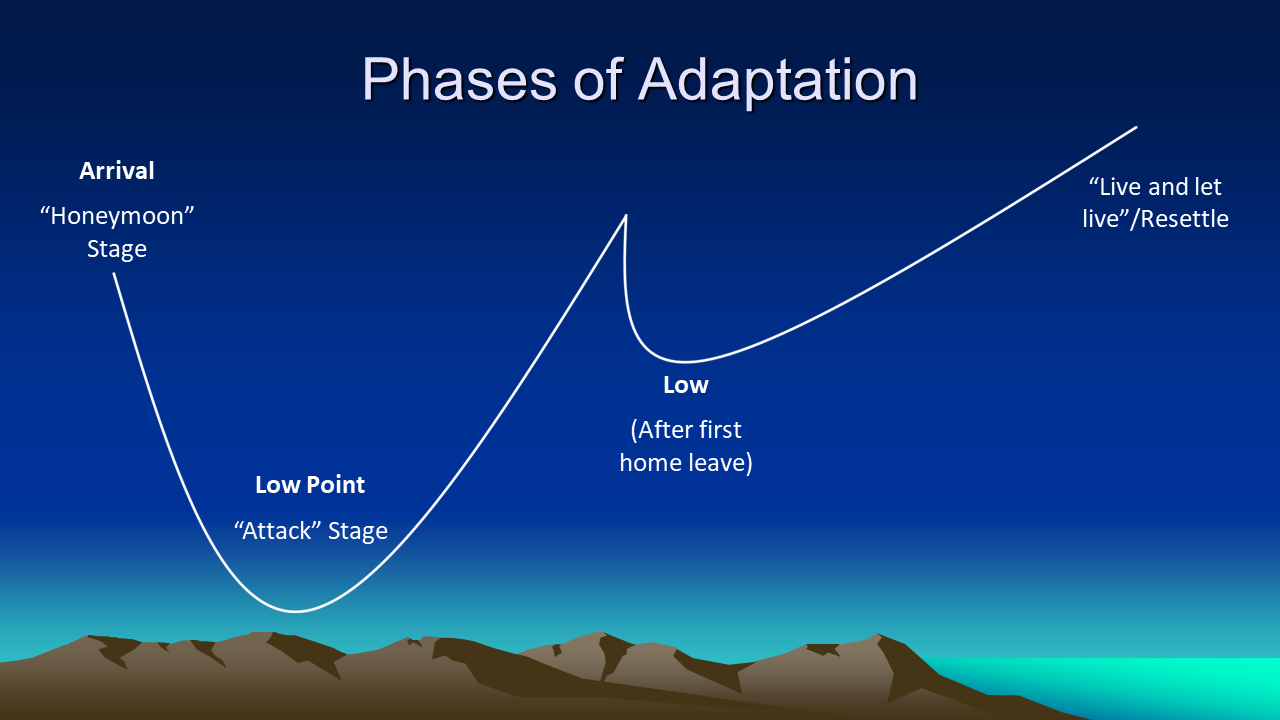 phases of adaptation